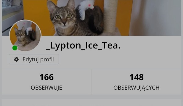 Ocenianie profili – oceniam profil _Lypton_Ice_tea.