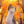 Warriors._.cats._.092