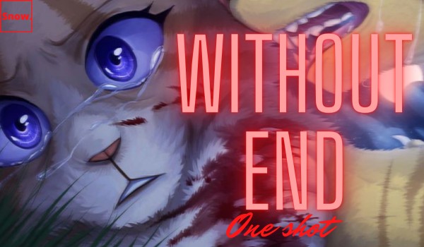 Without end | one shot [not POS]