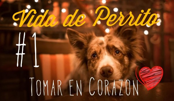 Vida de Perrito – Tomar en Corazon #1
