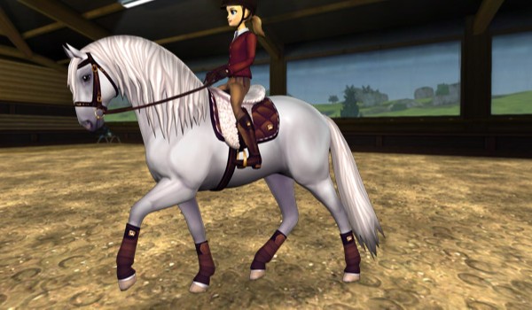 Jak się znasz na SSO?