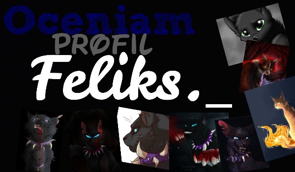 Oceniam profil Feliks._