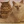 Kocia_BlueStar