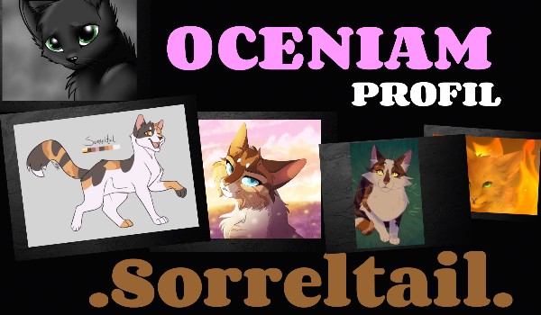 Oceniam profil .Sorreltail.