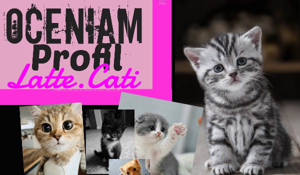 Oceniam profil Latte.Cati