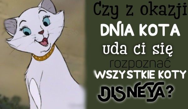 Czy z okazji Dnia Kota uda Ci się rozpoznać wszystkie koty Disneya?