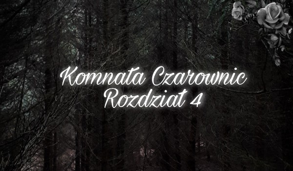 Komnata Czarownic | Rozdział 4
