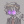 ...amiko