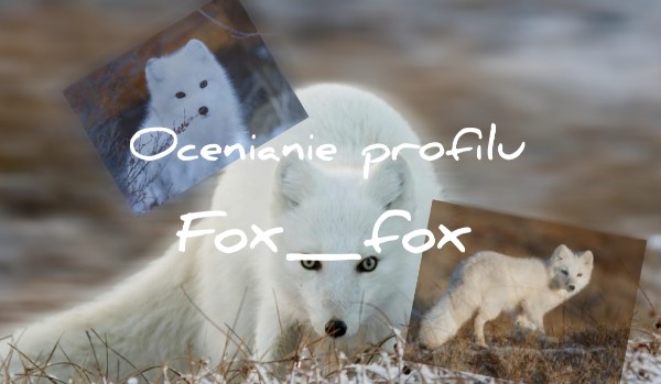 Ocenianie profilu Fox_fox!