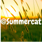SummerCat