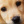 woof123