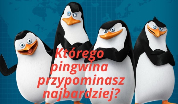 Którego pingwina najbardziej przypominasz?