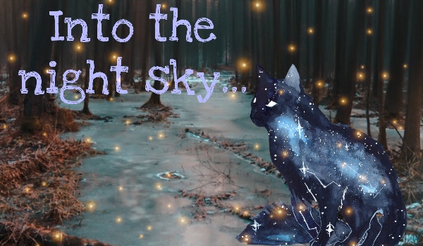 Into the night sky~Rozdział 1