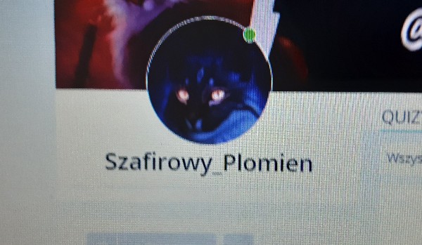Oceniam Profil Szafirowy_Plomien!