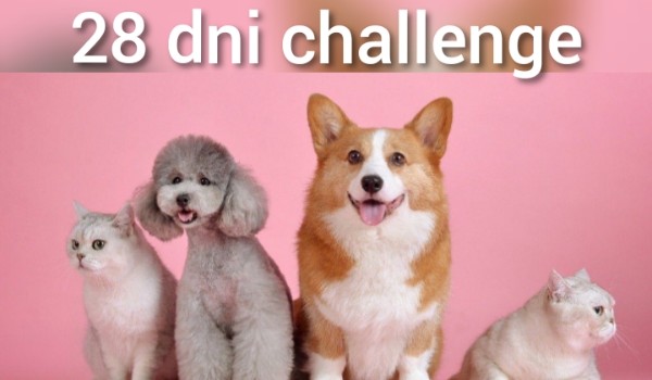 28 dni challenge,
