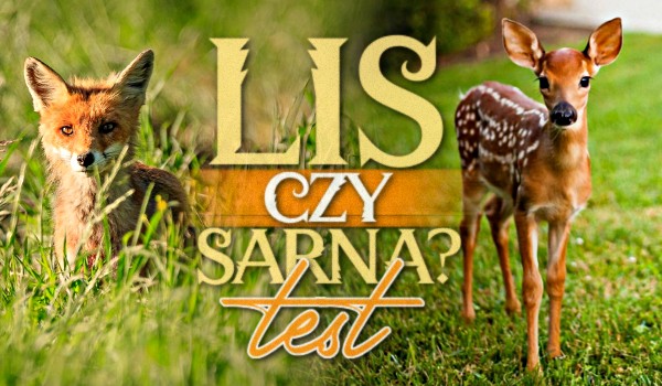 Lis czy sarna? – Test!