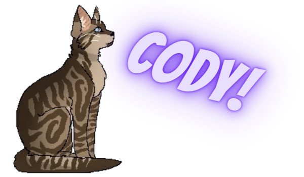 Oceniam koty z Wojowników! – Cody