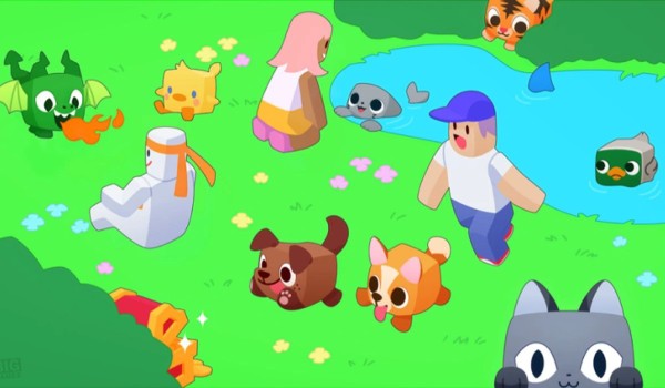 Quiz o pet simulator x