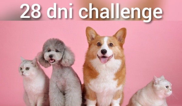 28 dni challenge•