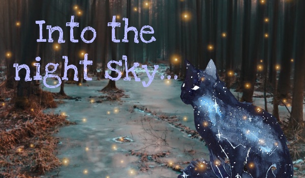 Into the night sky…~Rozdział 2