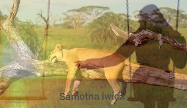 Samotna lwica -one shot