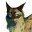 Nocnywiatr
