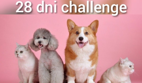 28 dni challenge`