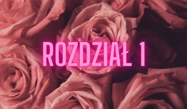 Rozdział 1