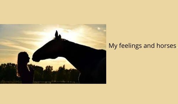 My feelings and horses.
