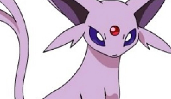 ocena profilu SZARY.PIES!