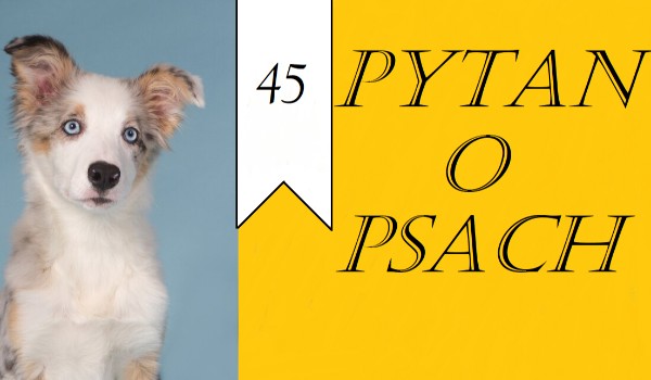 45 pytań o psach!