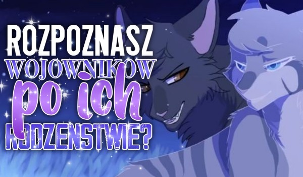 Rozpoznasz wojownika po jego rodzeństwie?