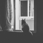 Egzystencja.Czlowieka