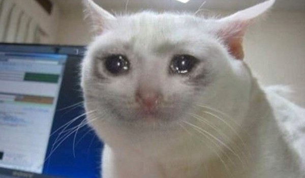 A więc ask. Yaaaaay