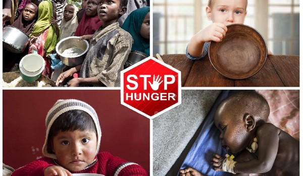 Test wiedzy o głodzie i niedożywieniu