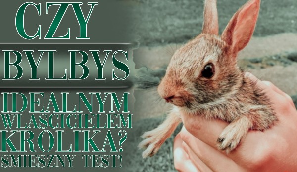 Czy mógłbyś zostać idealnym właścicielem królika? Śmieszny test!