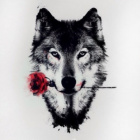 Wolf_world