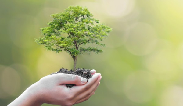 RÓŻNORODNOŚĆ BIOLOGICZNA