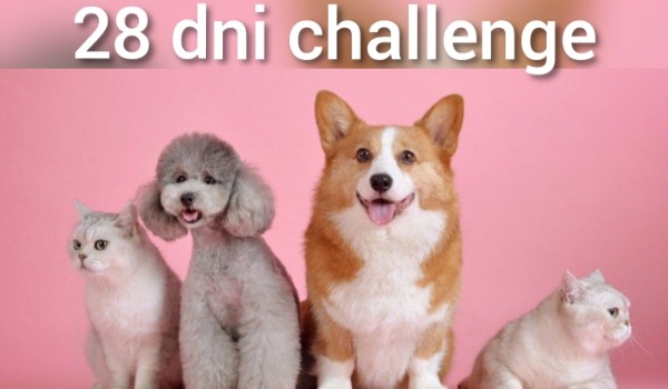 28 dni challenge(