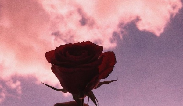 MÓJ ŻYWIOŁ TO TY #2