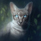 ViciCat