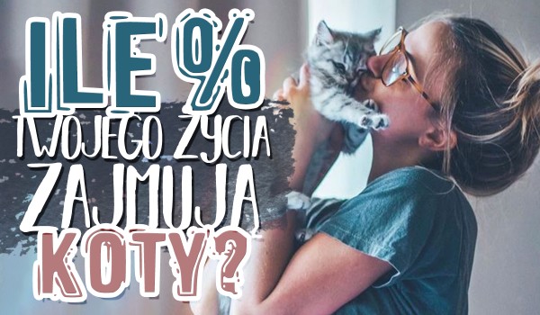 Ile % Twojego życia zajmują koty?