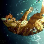 RainStream