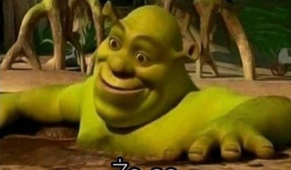 memsy o wszystkim #24