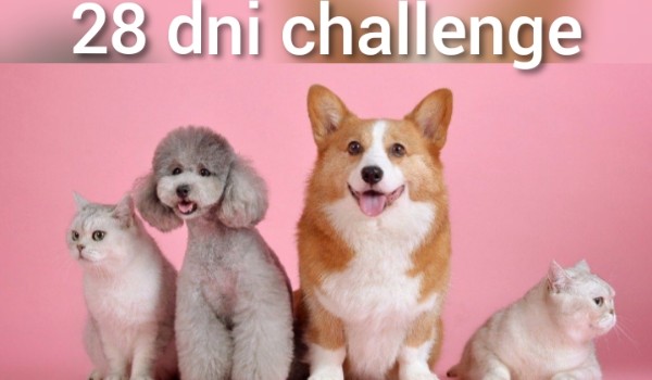 28 dni challenge ×