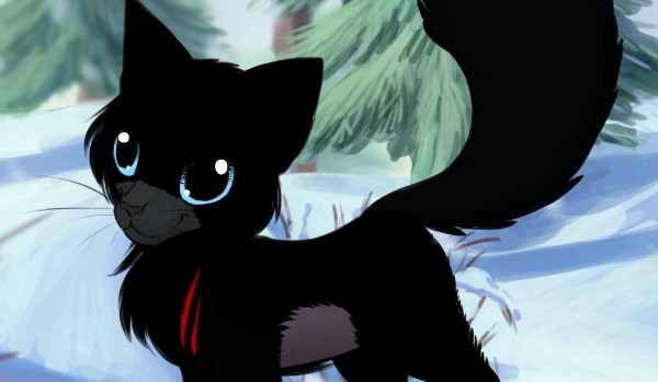 Czarna prawda prolog