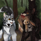warrioscats60