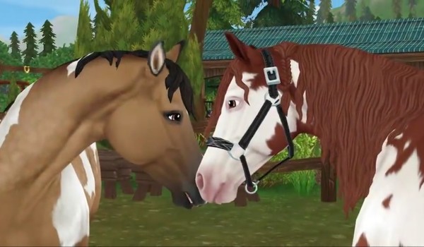 Jakim koniem  American Paint Horse jesteś?