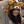 Mell_graphic