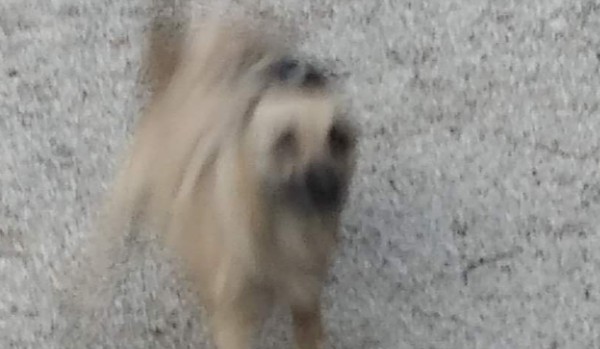 Nasze wiadomości na messengerze #7